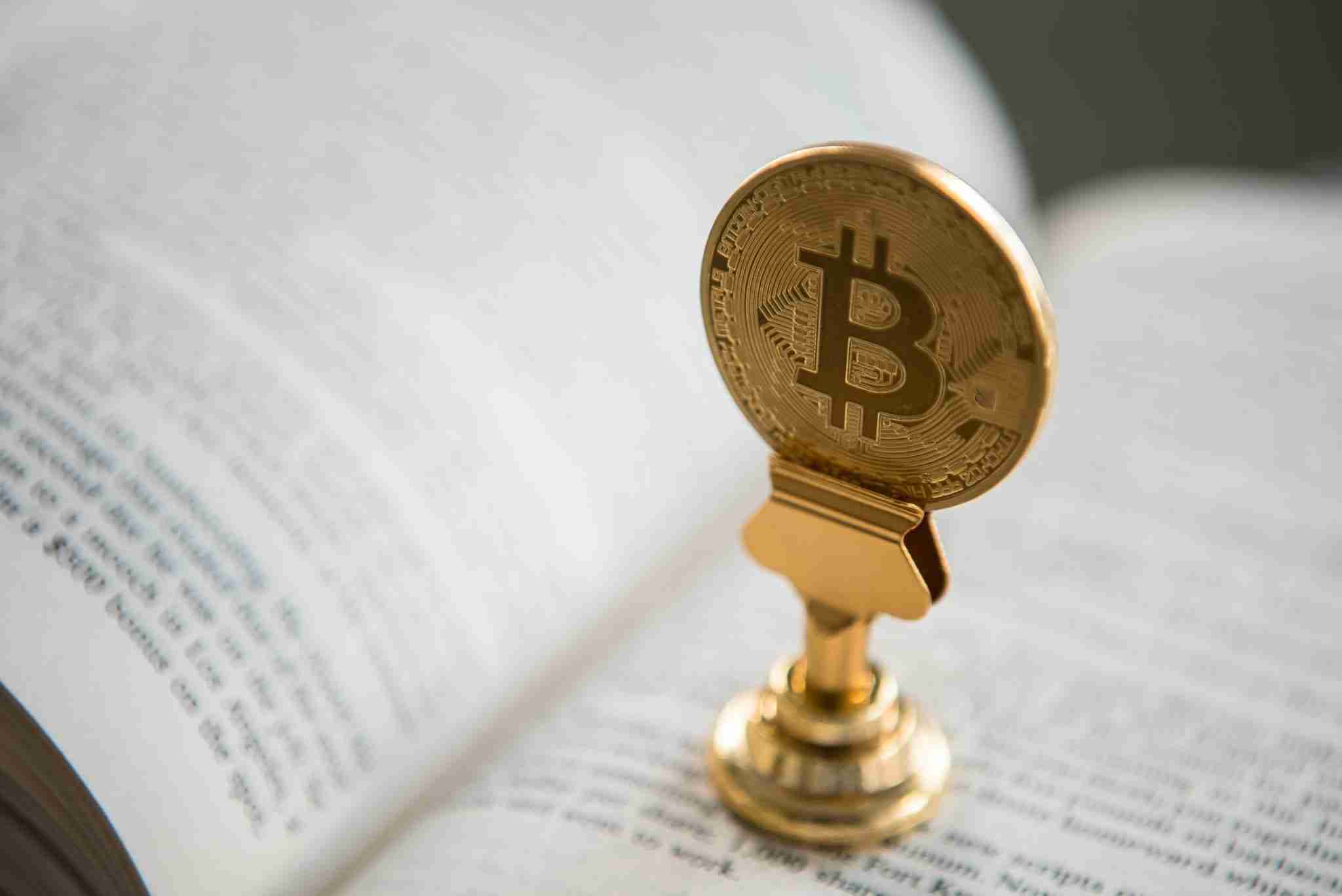 person holding round gold-colored Bitcoin
